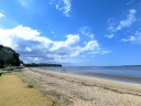 auckland (18)